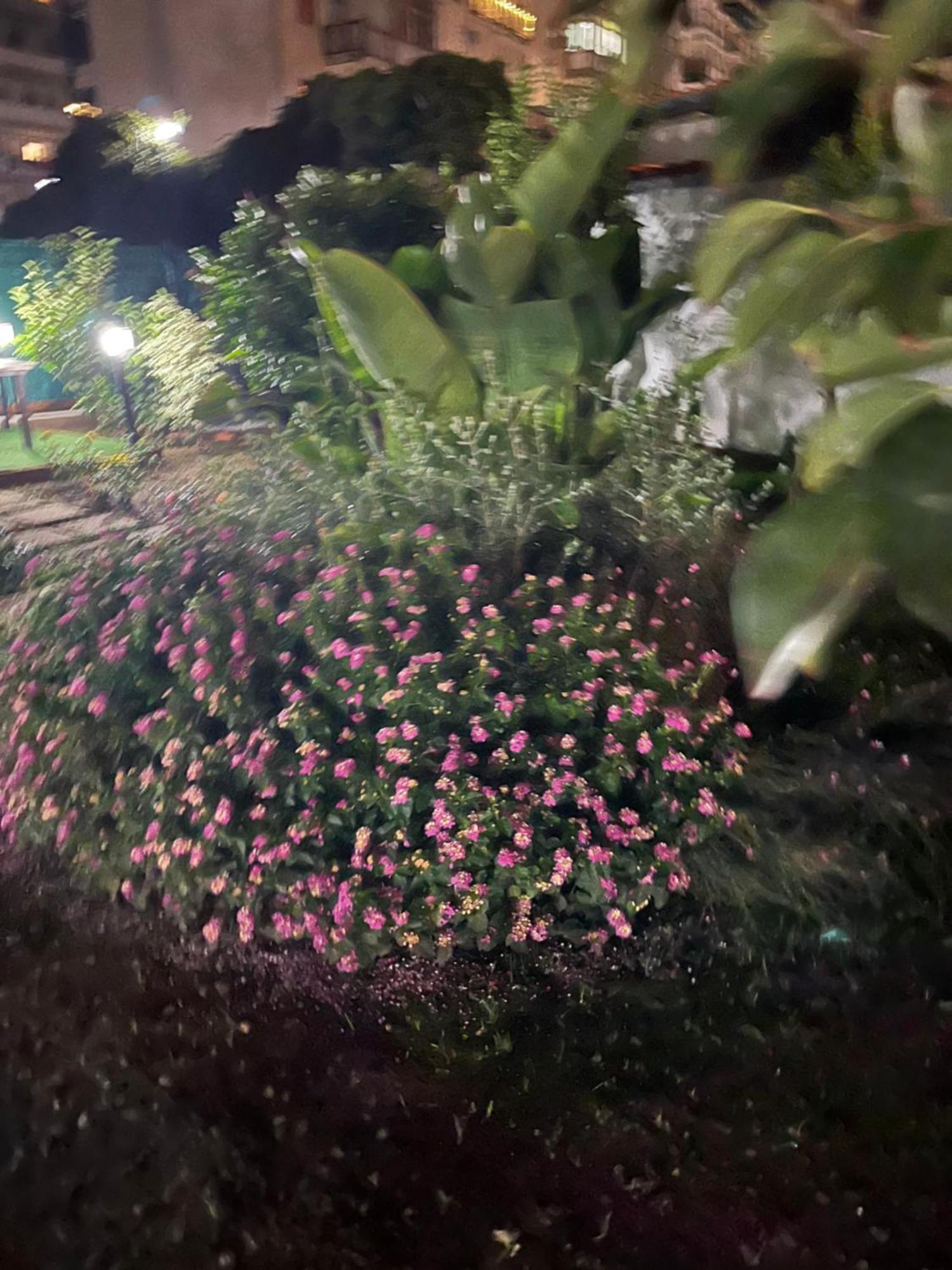 Casetta Bianca باليرمو المظهر الخارجي الصورة